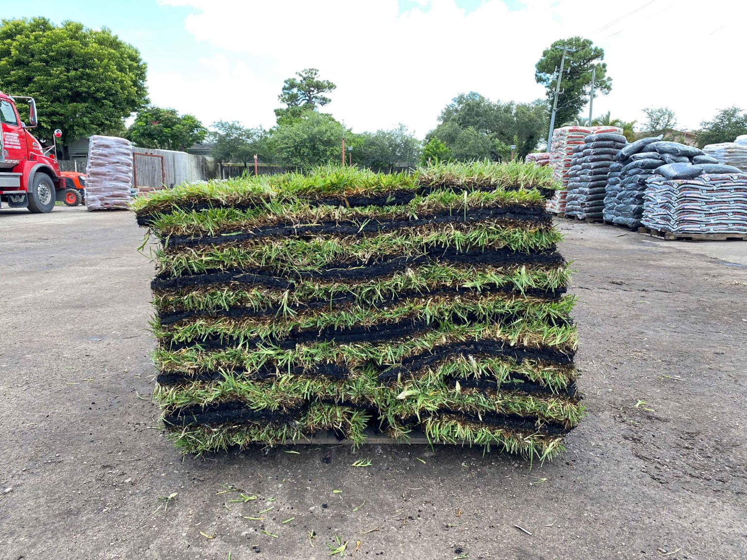 Sod – Growers Outlet of Lake Worth