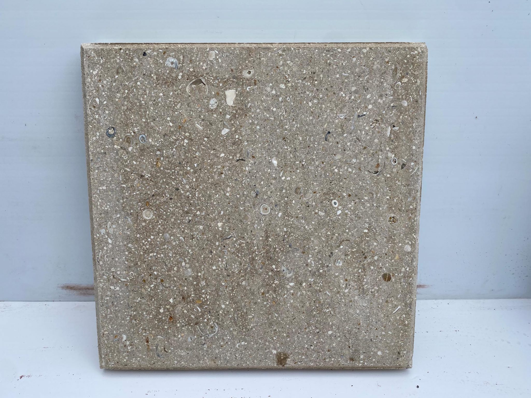 16″ x 16″ Shellock- Tan – Growers Outlet of Lake Worth