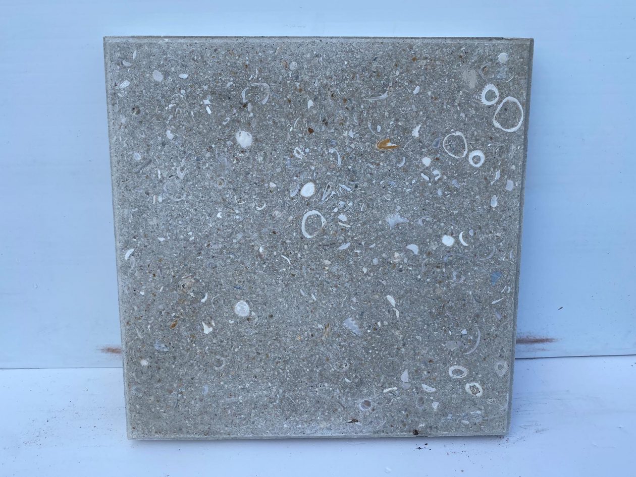 16″ x 16″ Shellock White – Growers Outlet of Lake Worth