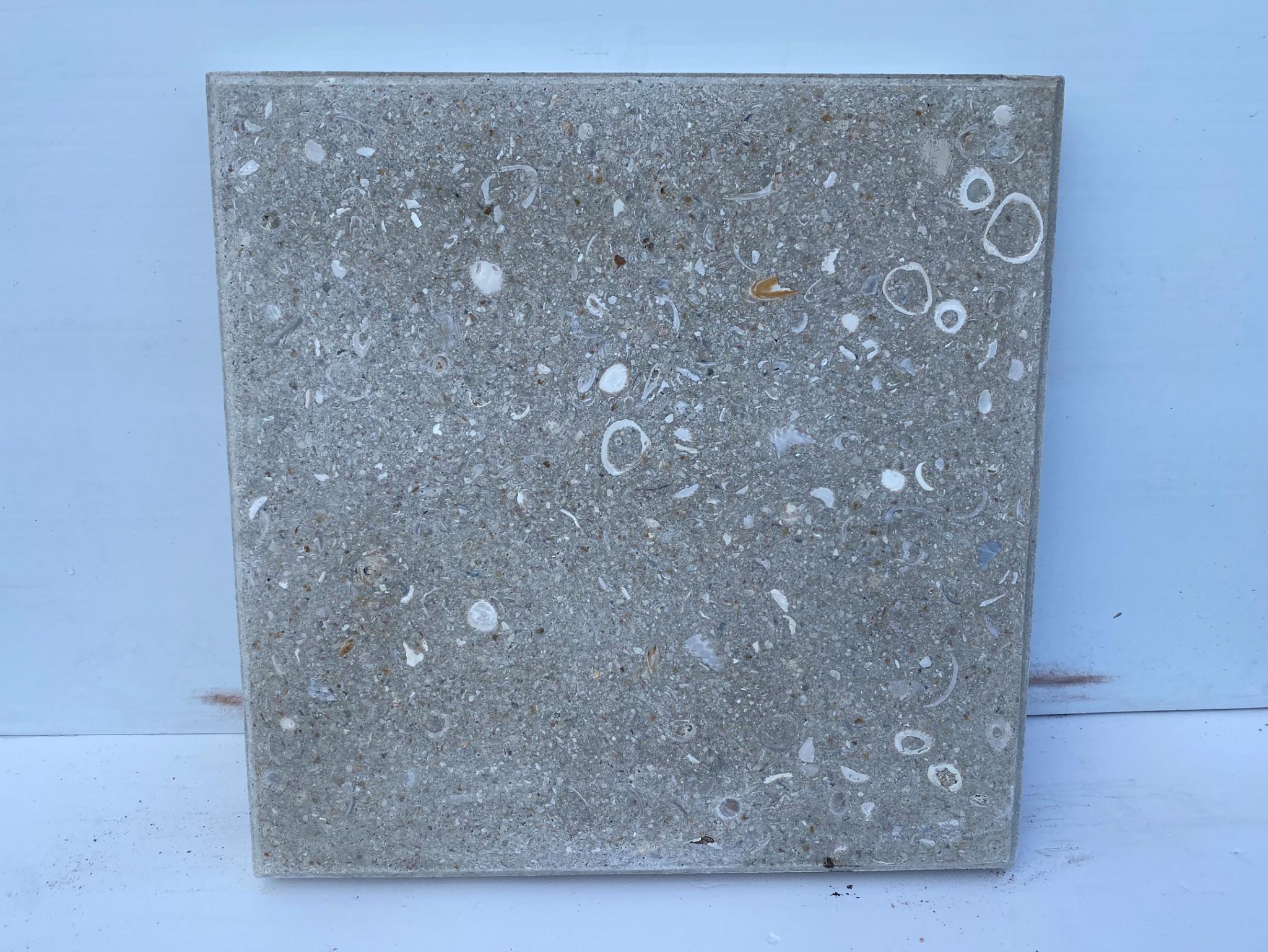 16″ x 16″ Shellock White – Growers Outlet of Lake Worth